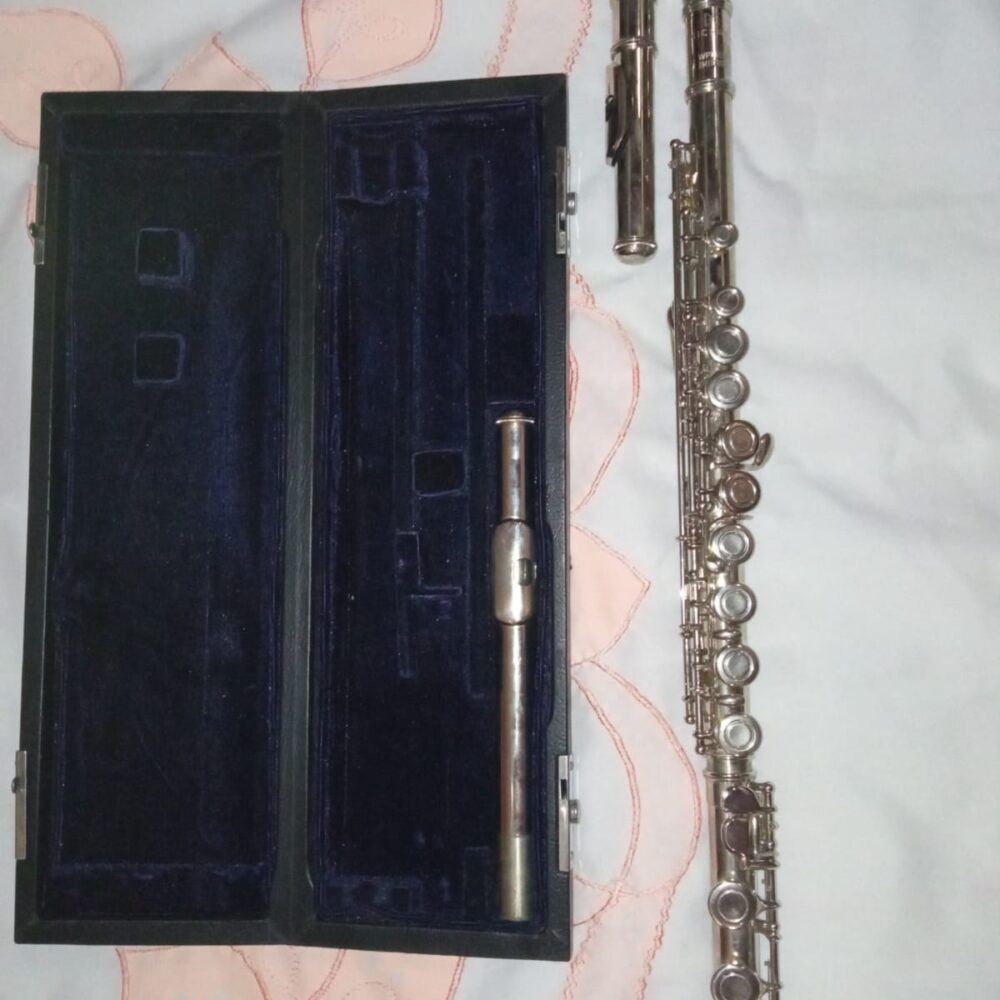 Flauta Transversal Michael WFLM26